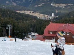 img_1446